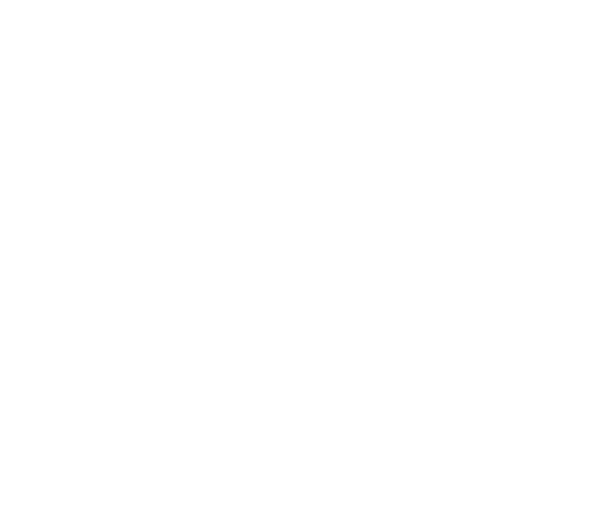 TRAVELLER